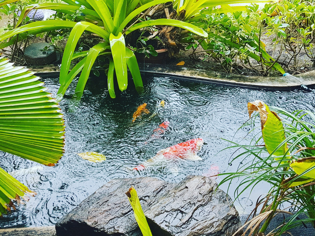 匹他那尼可餐馆和美食-Amezon Coffee Shop