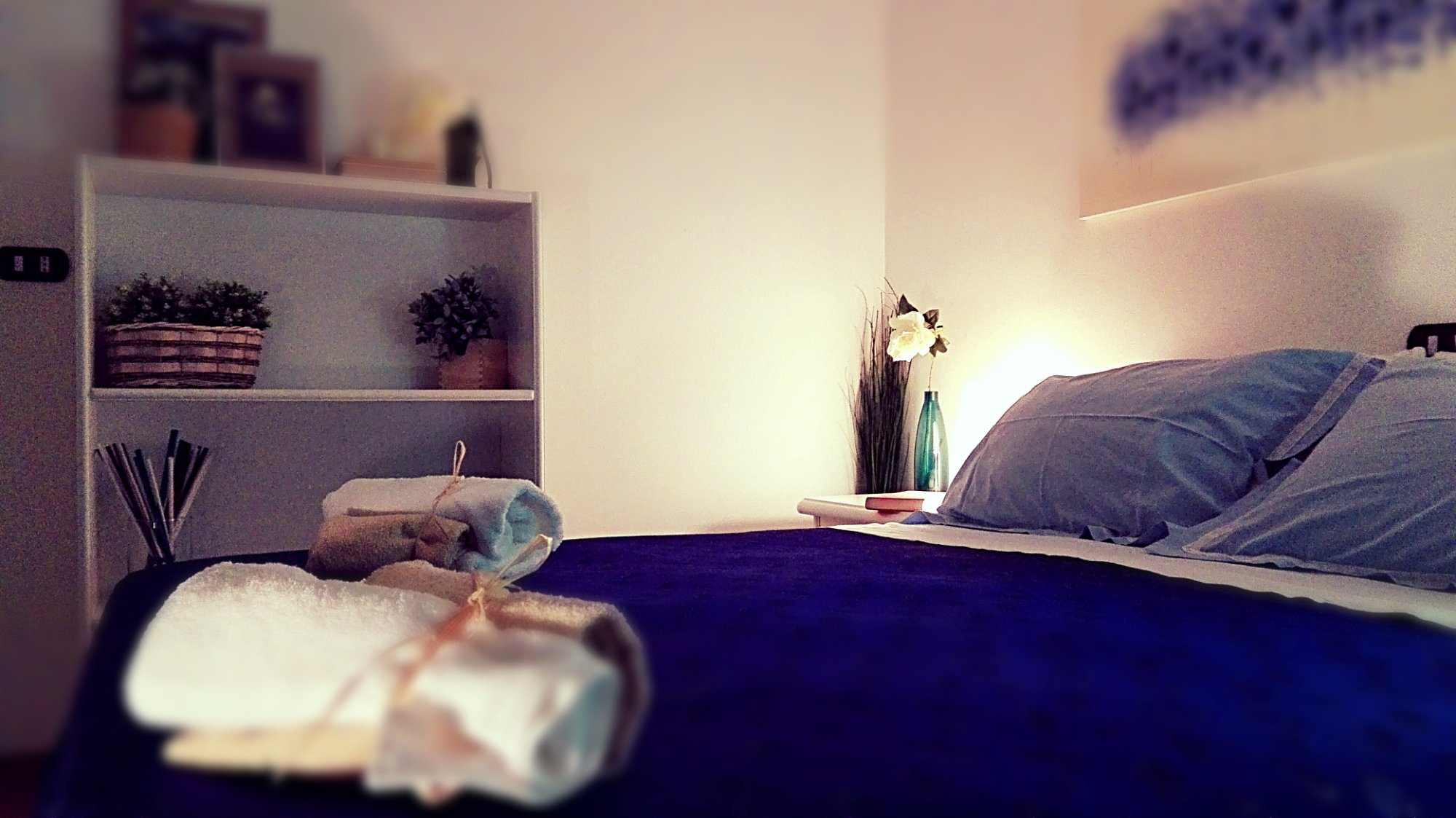 Bivio B&B-官方
