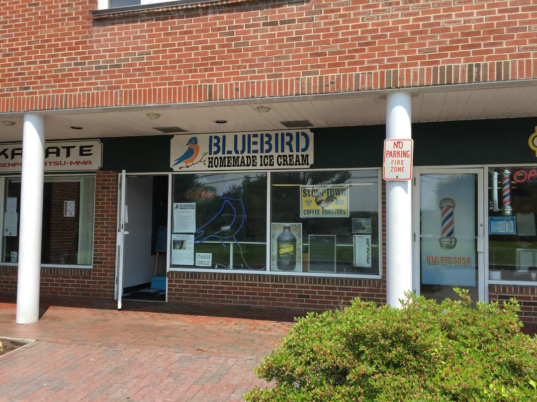 Waccabuc餐馆和美食-Bluebird NY