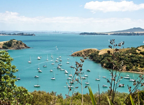 Kiwi Connect Waiheke Private Electric Tours