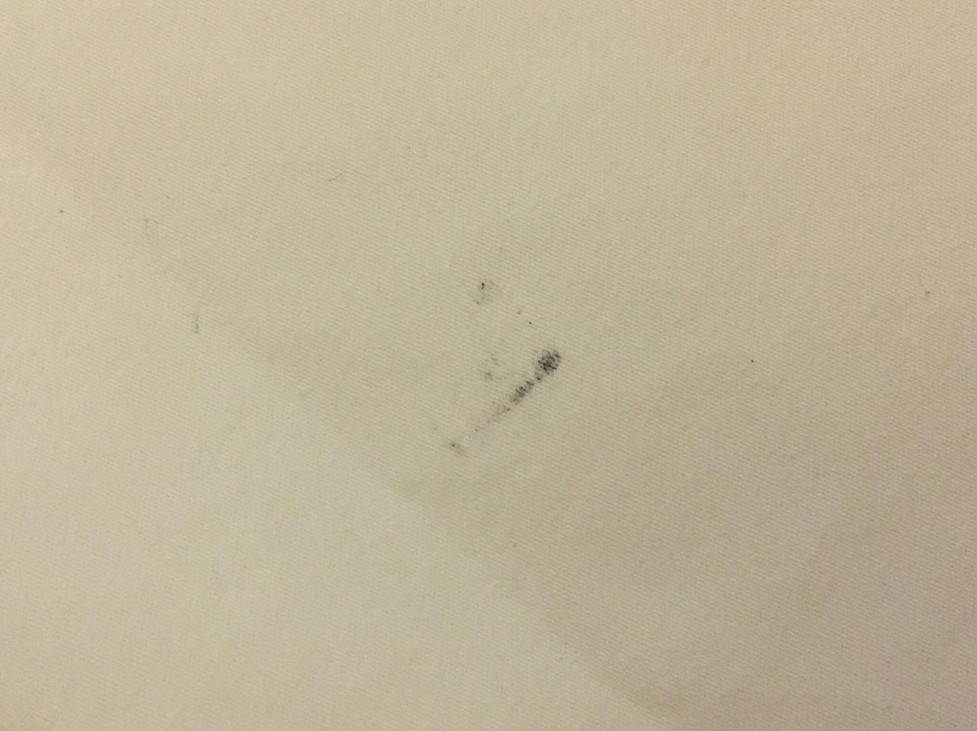 One Vittoria Hotel主图