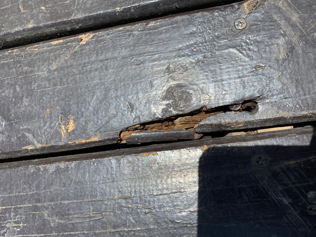 Palmas Hotel & Spa主图