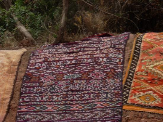 Ourika Valley-Ourika必去景点