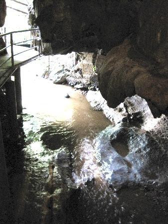 Gua Tempurung-务边必去景点