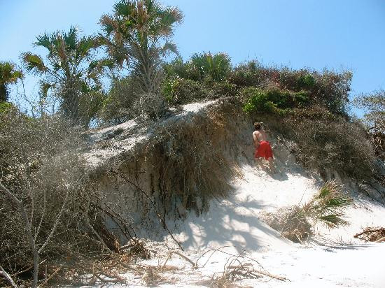 Little Talbot Island State Park-杰克逊维尔必去景点