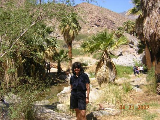 Tahquitz Canyon-棕榈泉市必去景点