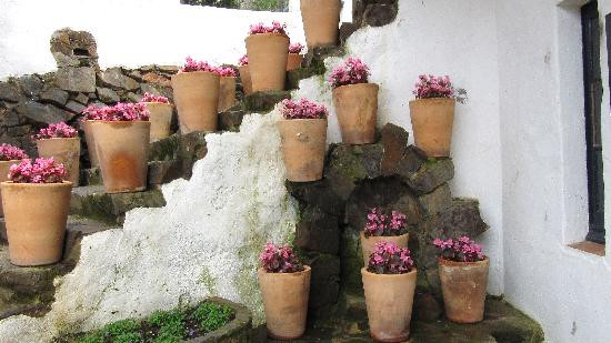 Jardi Botanic de Cap Roig景点图片
