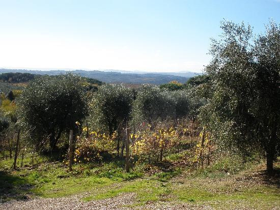 托斯卡纳葡萄酒之旅-锡耶纳必去景点
