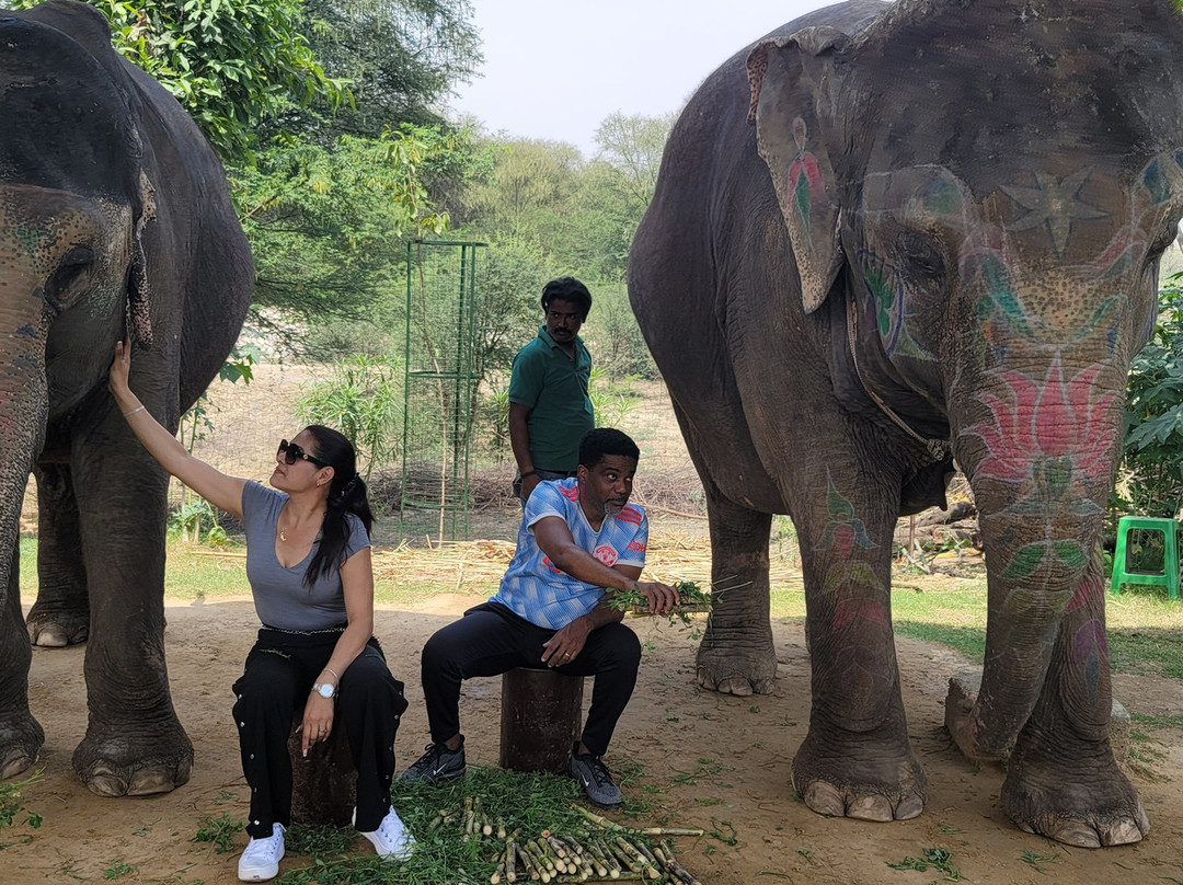 Limra Private Tours-斋蒲尔必去景点