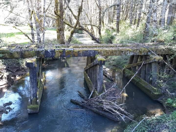 Fishhawk eCyclery-Vernonia必去景点