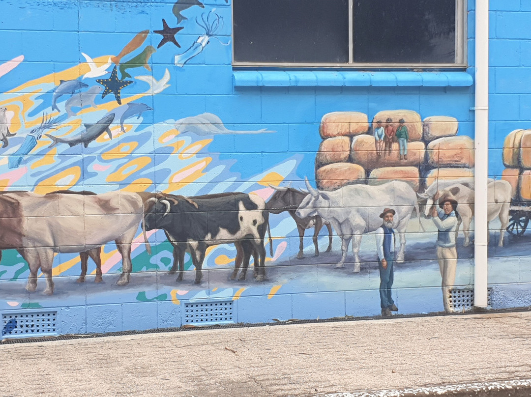 Elliston Community Visitor Information Centre-Elliston必去景点