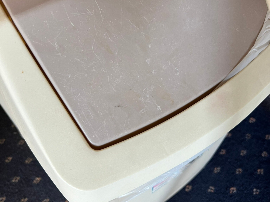 Alloggio Tudor Hamilton主图