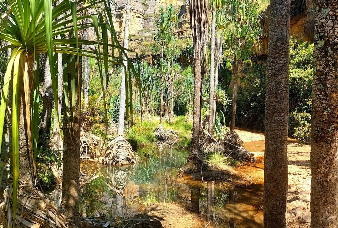 Piscine Naturelle de l'Isalo景点图片