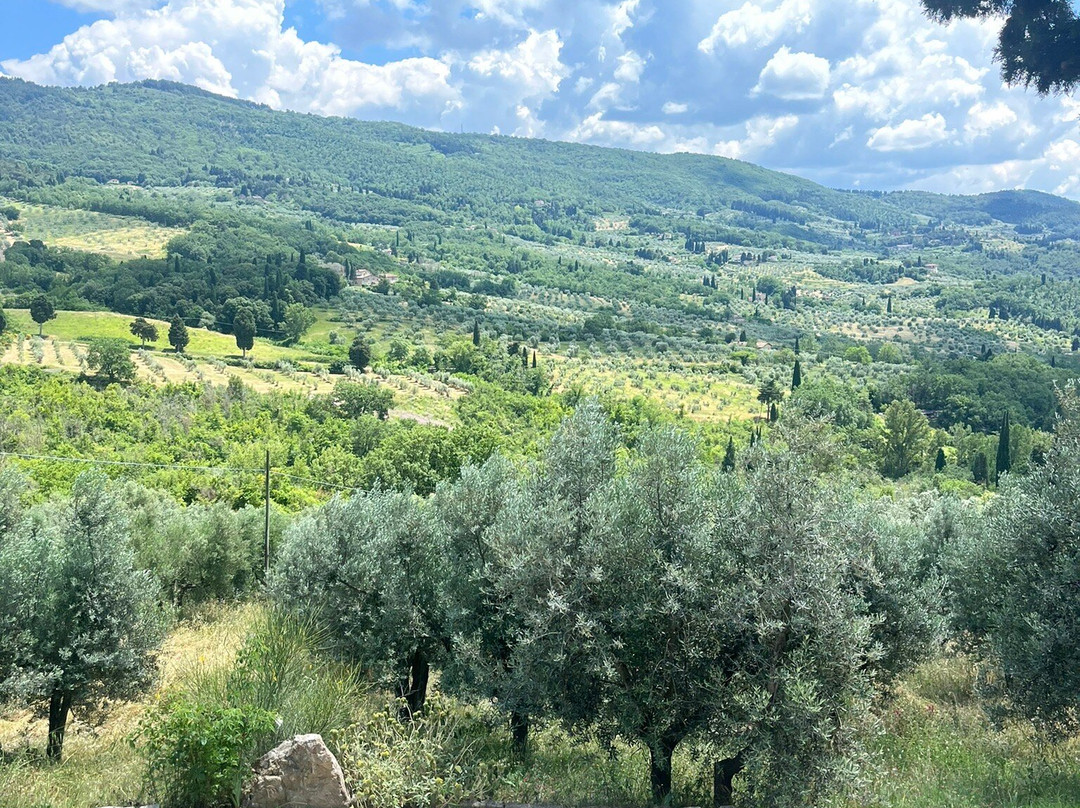 Villa Di Campolungo Agriturismo主图