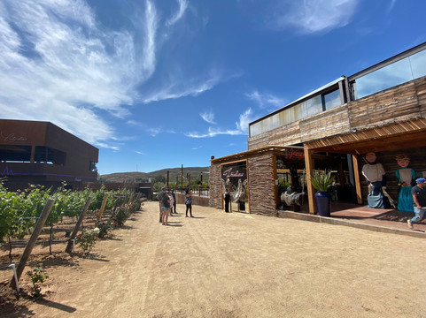 Ruta Del Vino Tours-Valle de Guadalupe必去景点