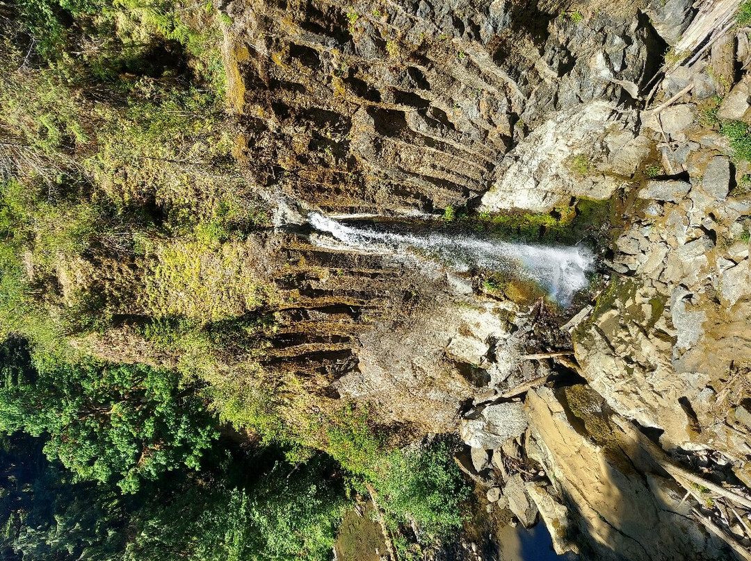 Drift Creek Falls Trail景点图片