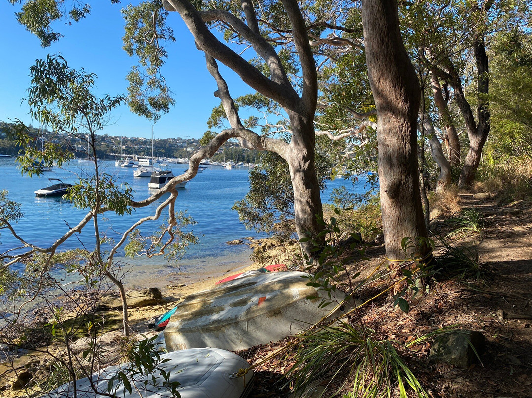 The Spit To Pulpit Rock Walk景点图片