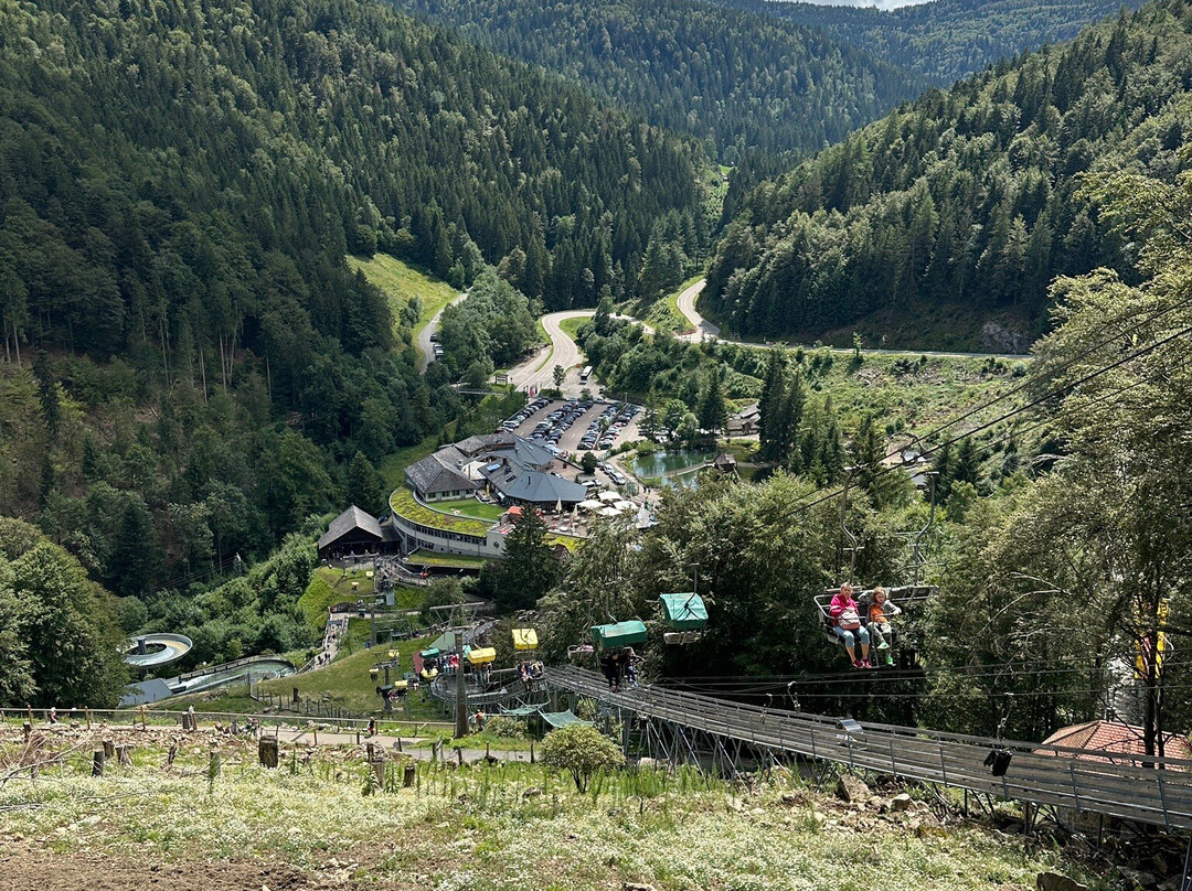 Steinwasen Park-Oberried必去景点