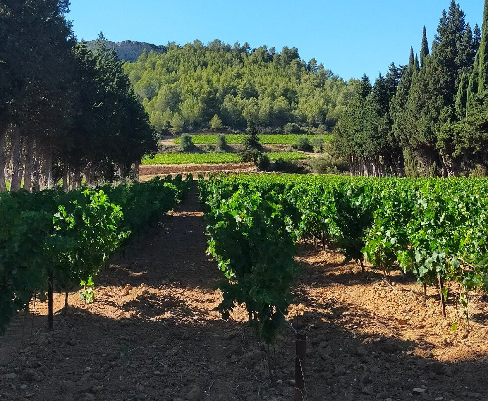 Domaine la Bouysse景点图片