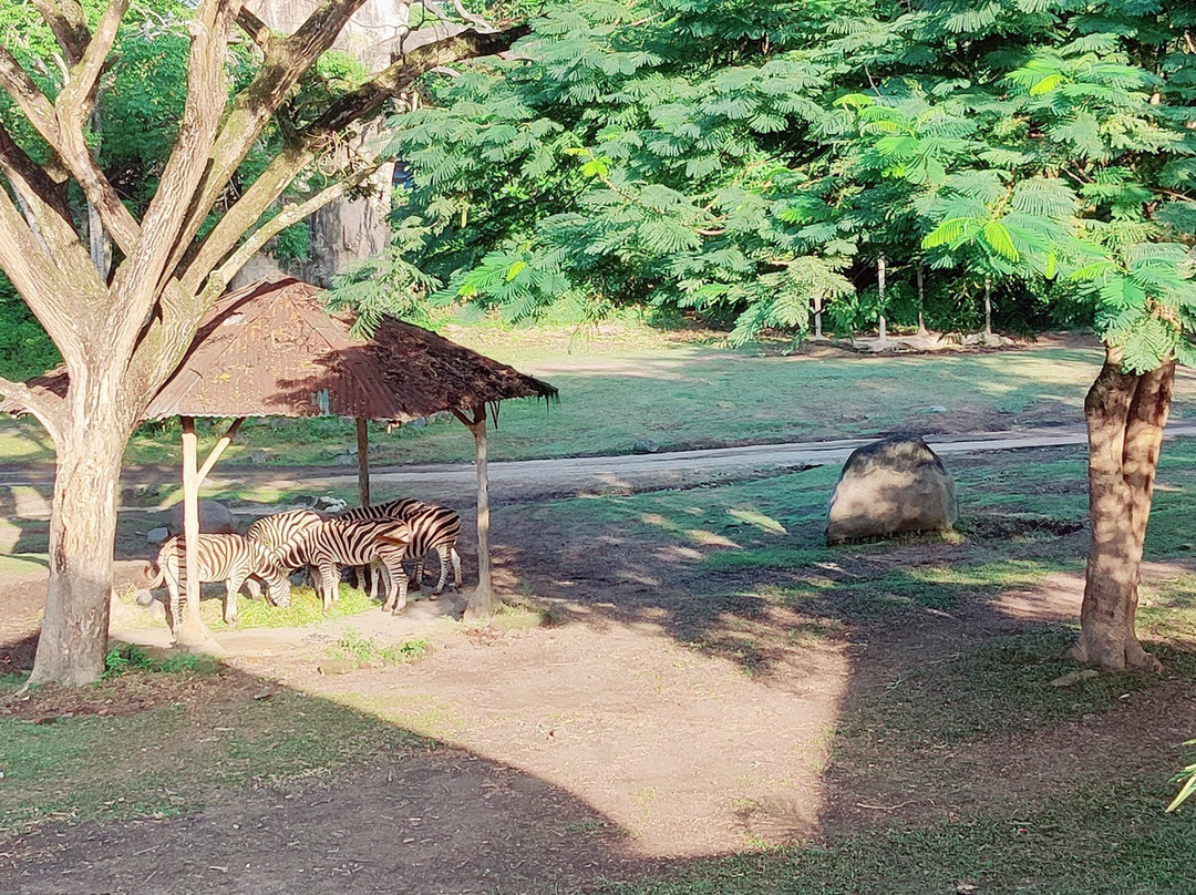 马拉河萨法里旅馆主图