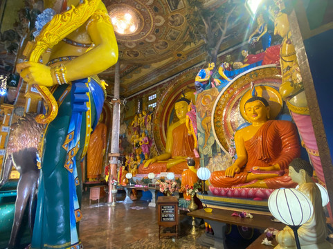 Tuk Tuk Safari Sri Lanka-科伦坡必去景点