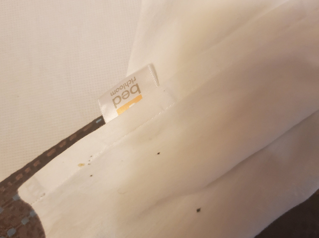 Fairfield by Marriott Inn & Suites Huntington主图