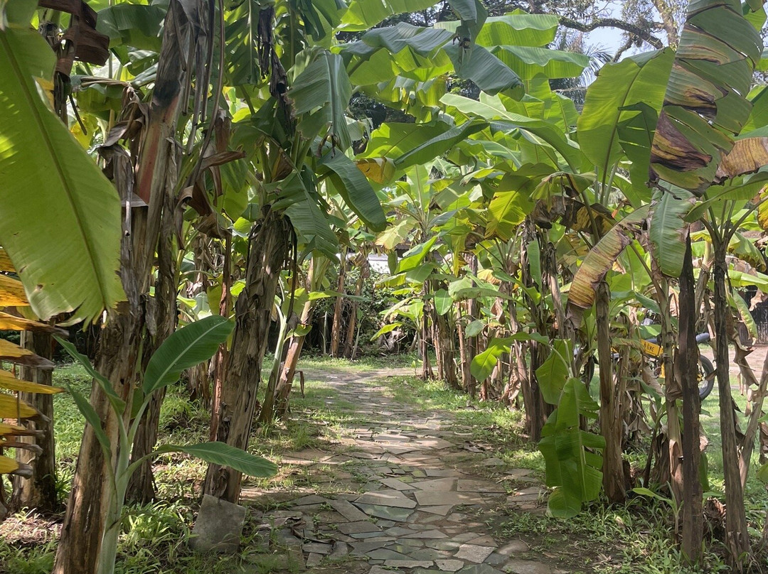 Heritage House: The Honeymooners Houstel