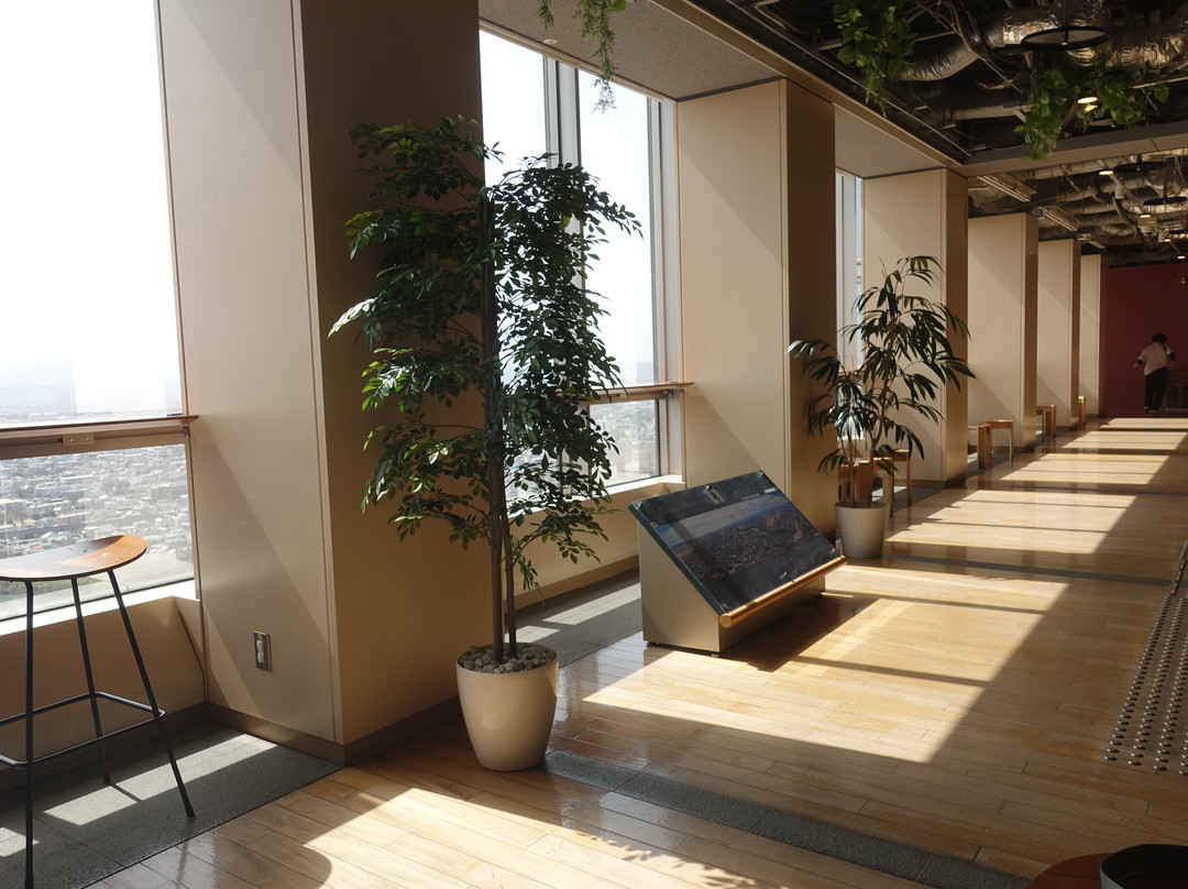 Gumma Prefectural Office Building Observation Deck-前桥县必去景点