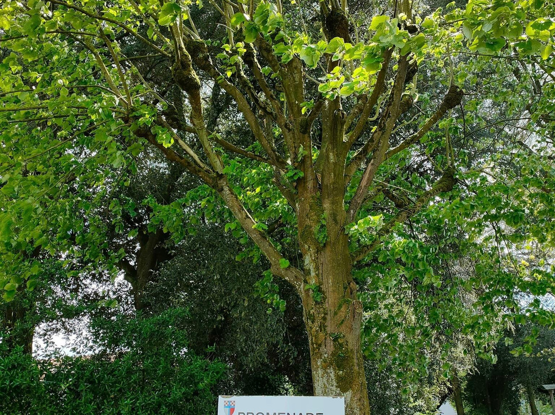 Office de Tourisme Ôsez Mauges Champtoceaux-Champtoceaux必去景点