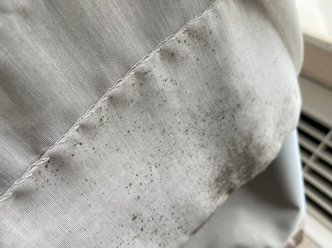 Quality Inn & Suites Altoona - Des Moines主图