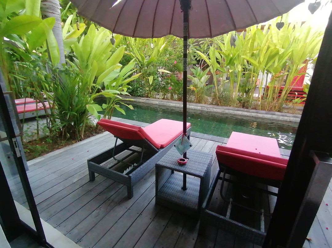 Le Chien Rouge主图