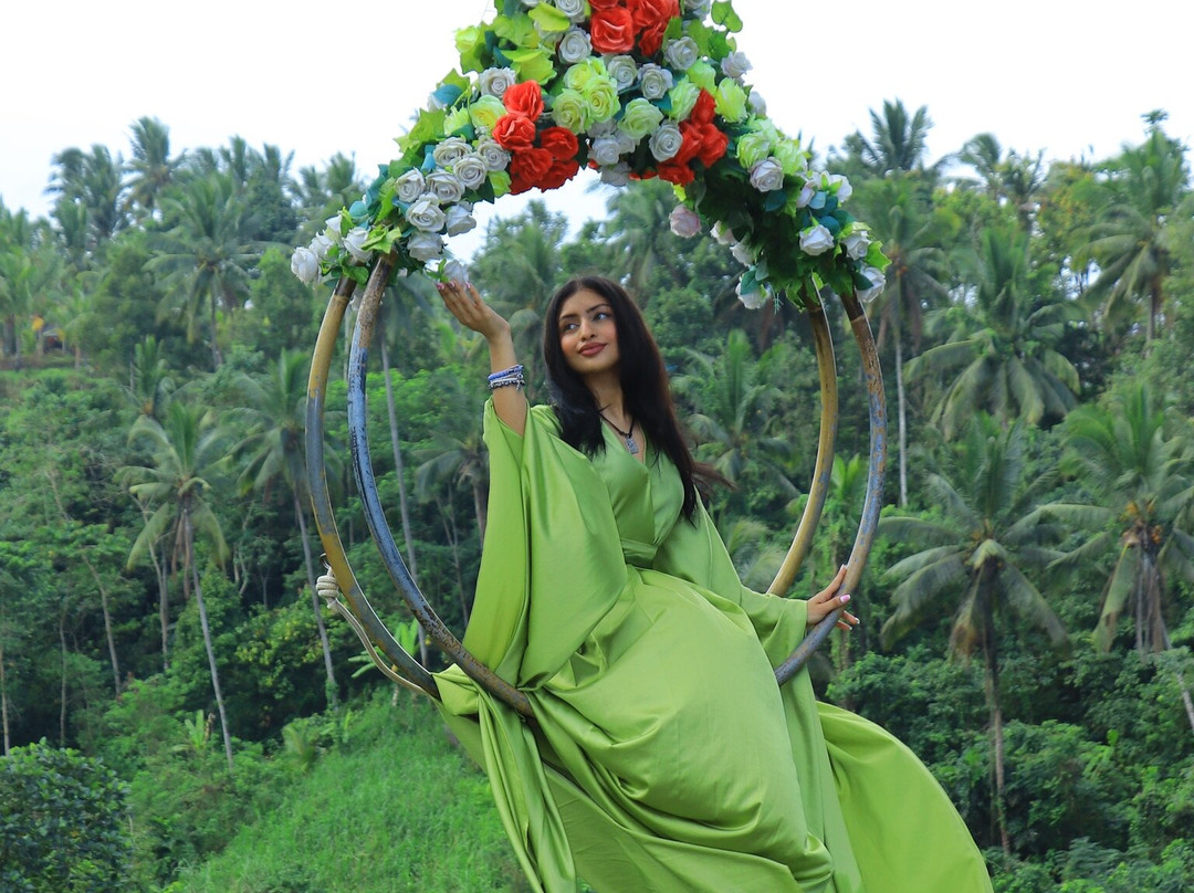 VIC Tour And Transport-乌布必去景点