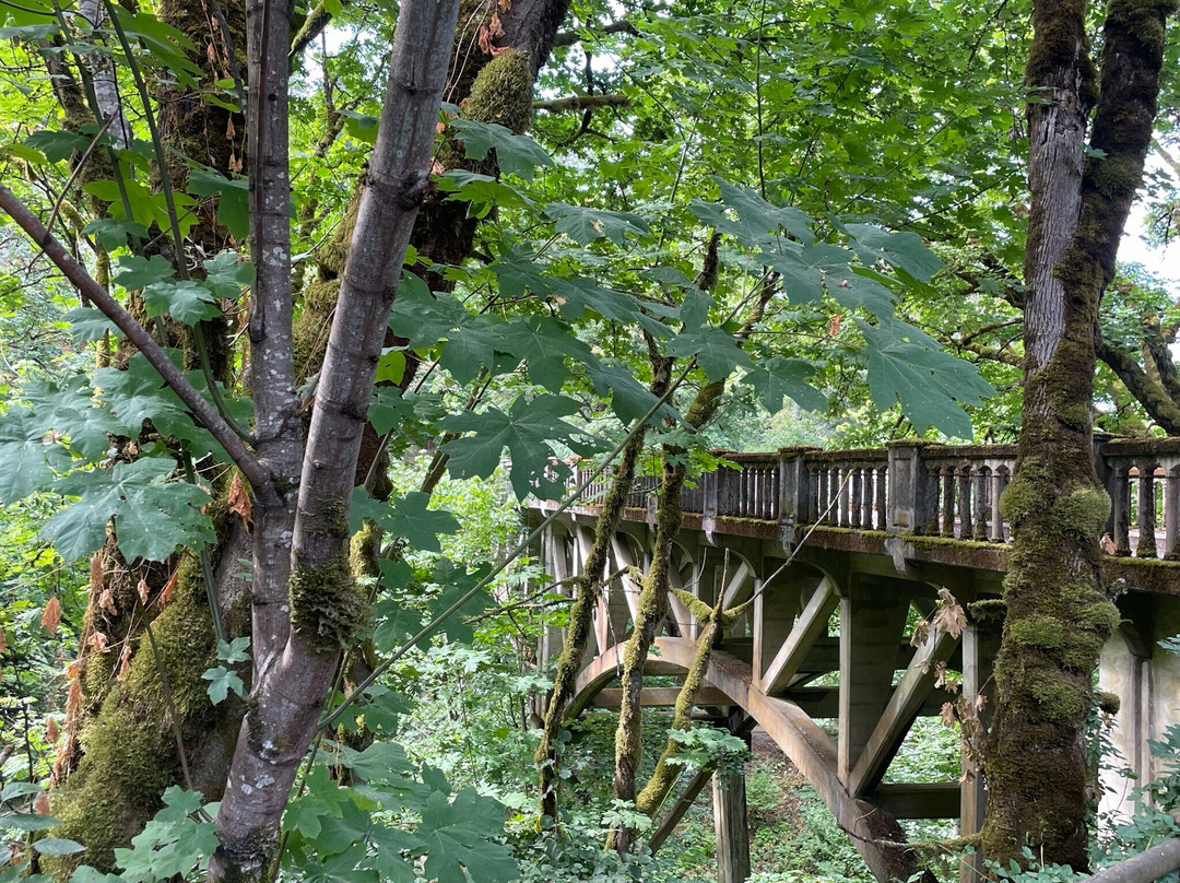 Hood River Mountain Bike Adventures-胡德里弗必去景点