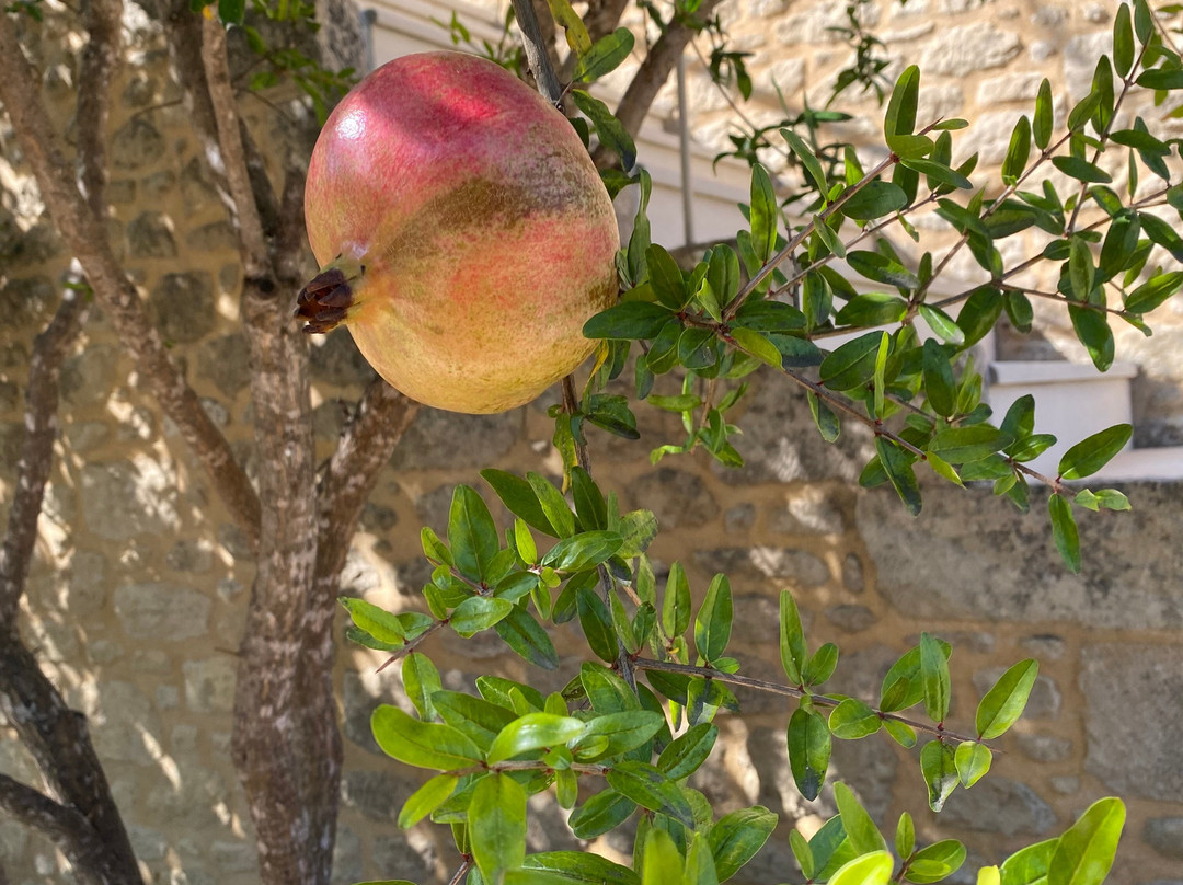 Kapsaliana Village Hotel主图