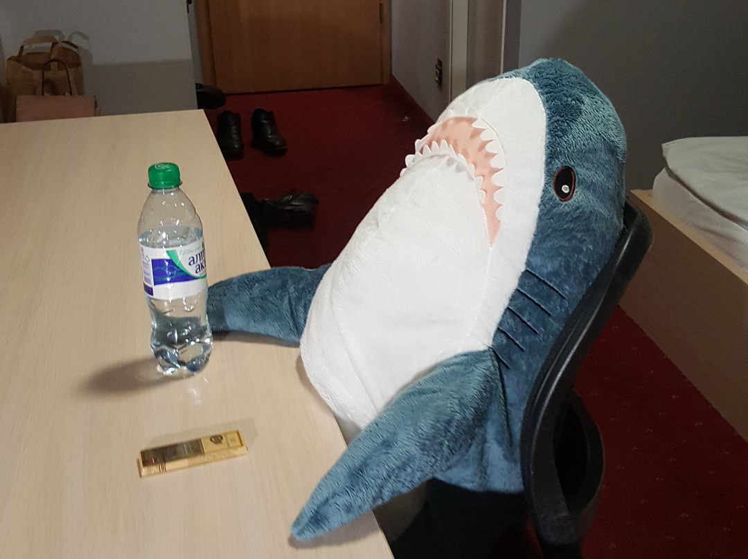 Marins Park Hotel Novosibirsk主图