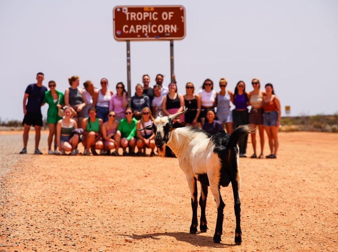 Why Not Bus-珀斯必去景点