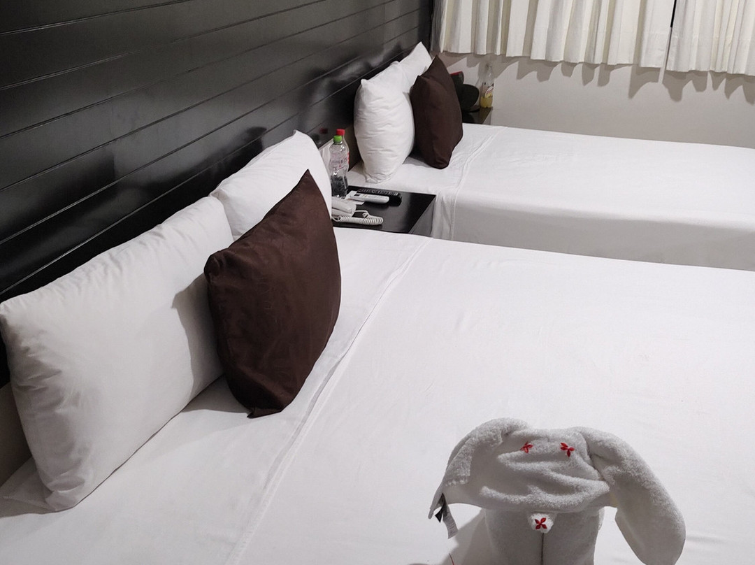 Hotel Mayev Express主图