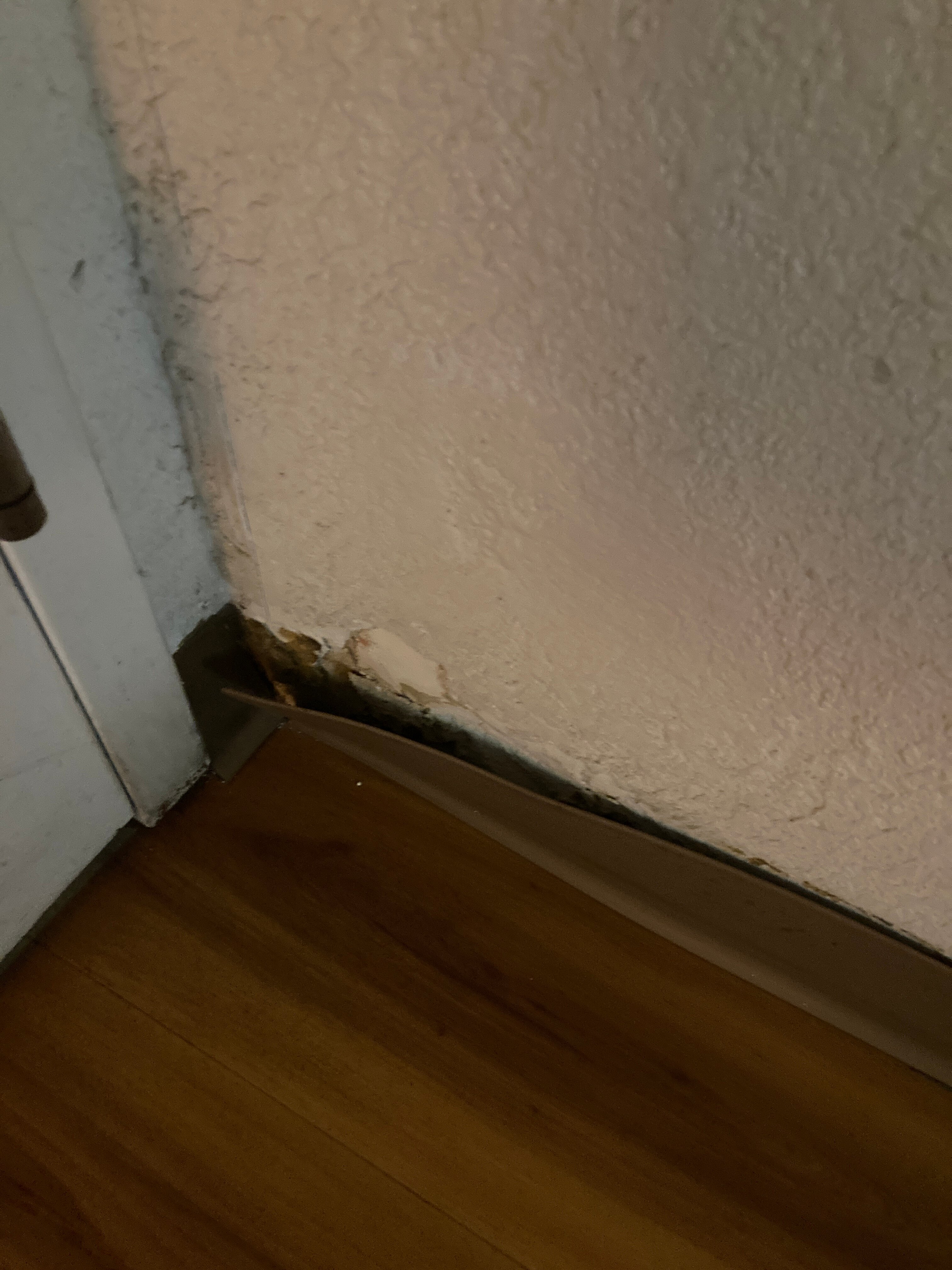 Motel 6 Mount Pleasant-客卧