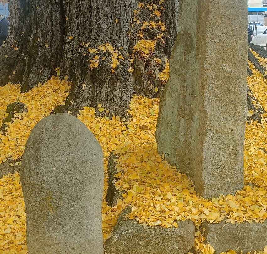飞驒国分寺-高山市必去景点