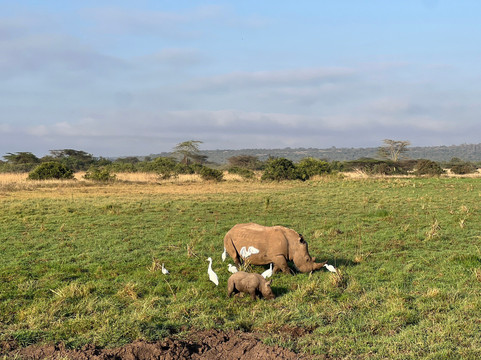 Maleki Tours&Safaris