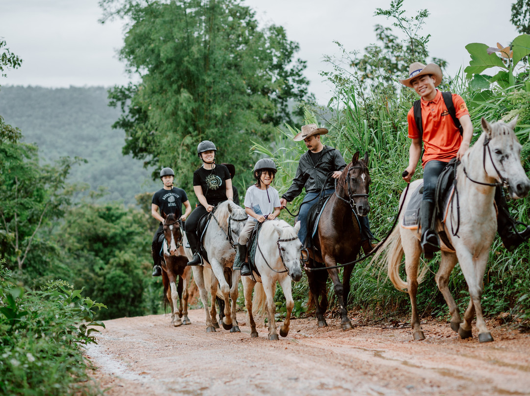 Pong Horse Park-Baan Pong必去景点