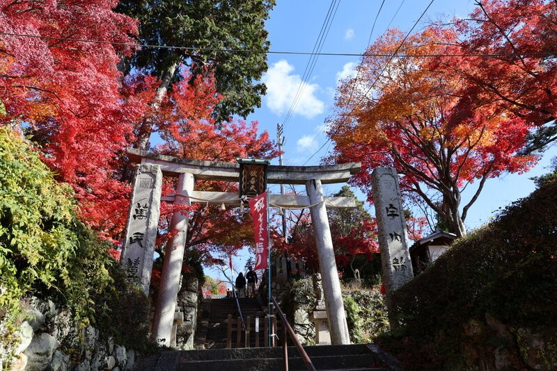 Shotengu Saikoji Temple-美浓市必去景点