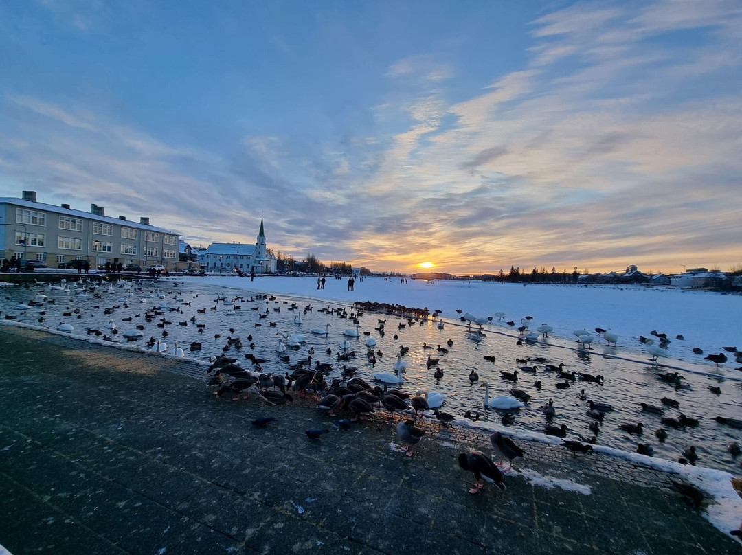 Iceland Tours by Taxi-雷克雅未克必去景点
