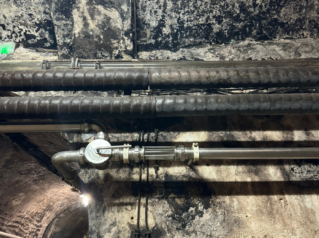 Vinag Wine Cellar-马里博尔必去景点