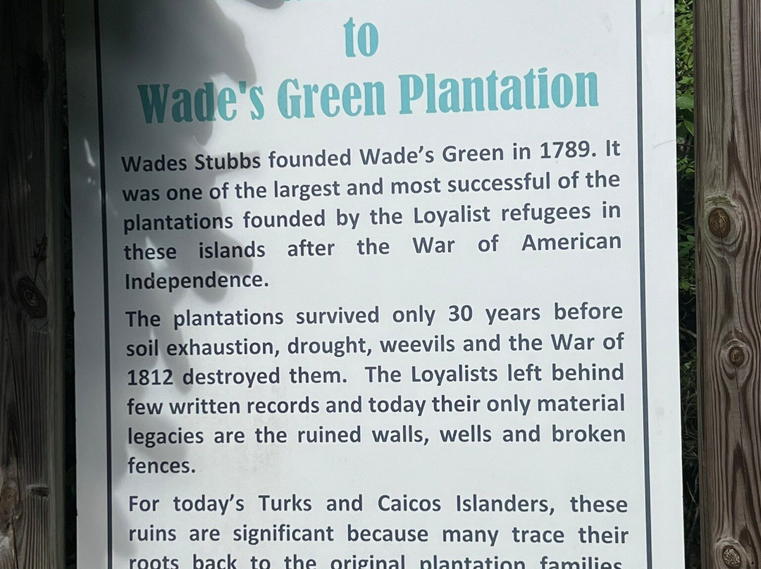 Belmont Car Rental and Tour-North Caicos必去景点