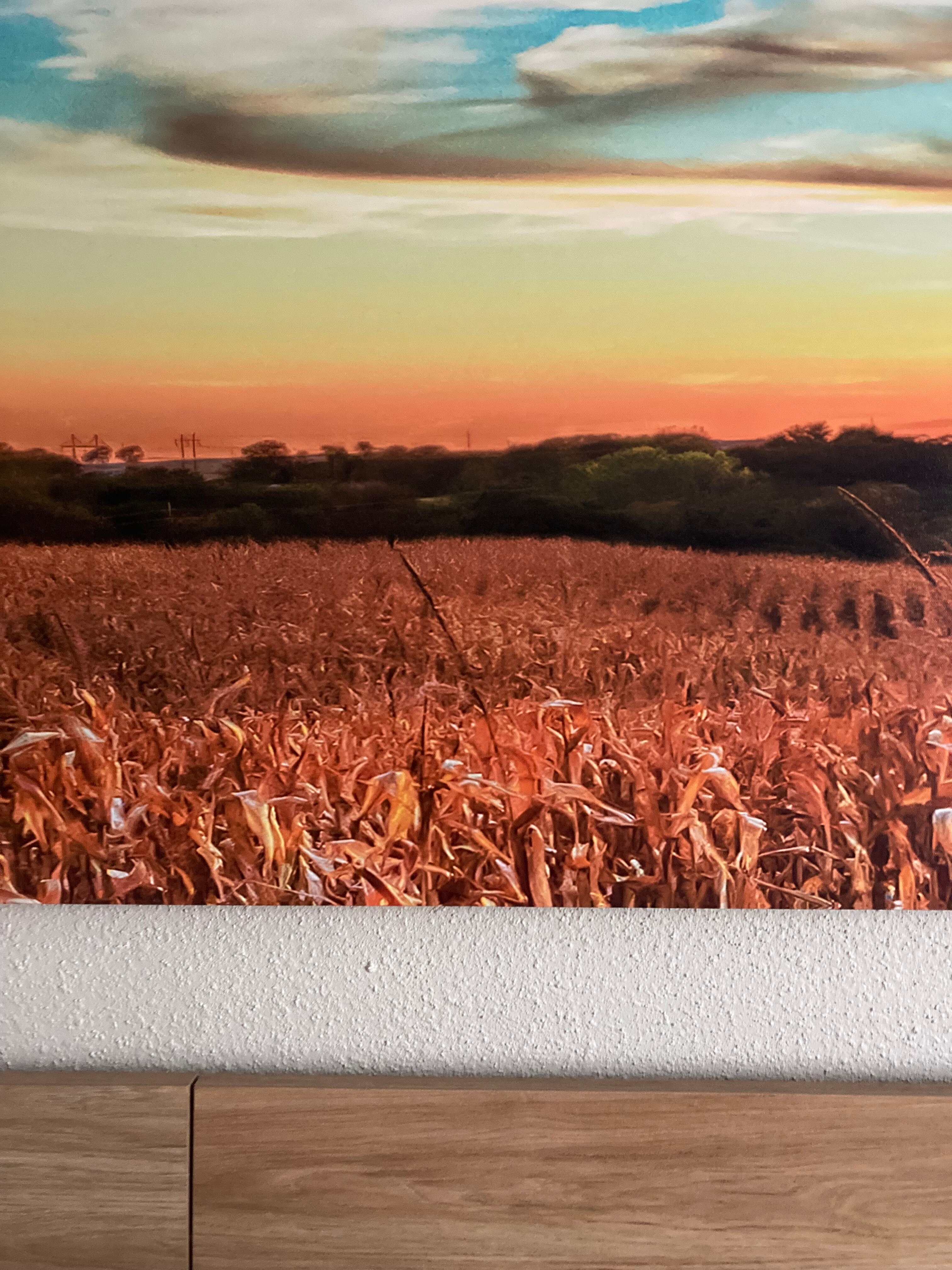 Days Inn & Suites by Wyndham Greater Tomball-客卧