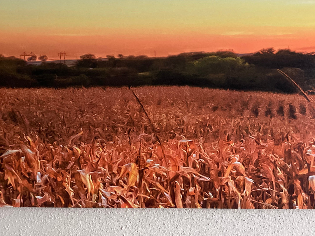 Days Inn & Suites by Wyndham Greater Tomball主图