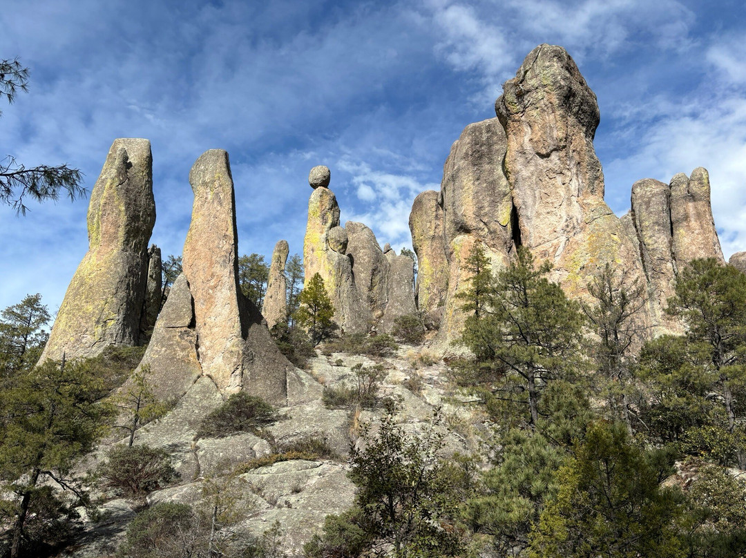 Hotel Ecologico Temazcal主图