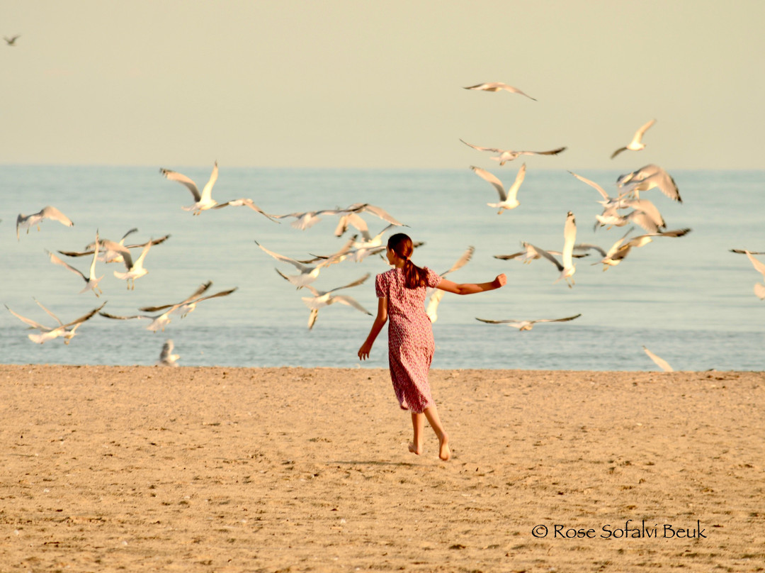 Port Burwell Beach-Port Burwell必去景点