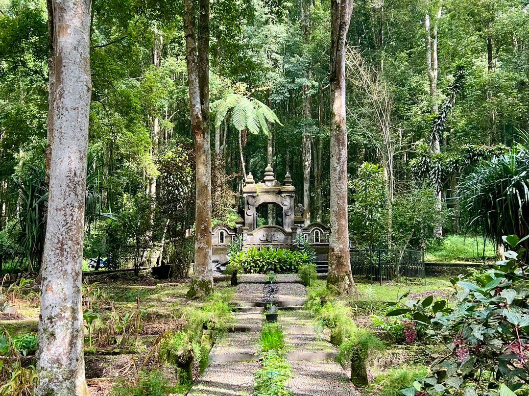 Denni's Bali Tour And Transfer景点图片